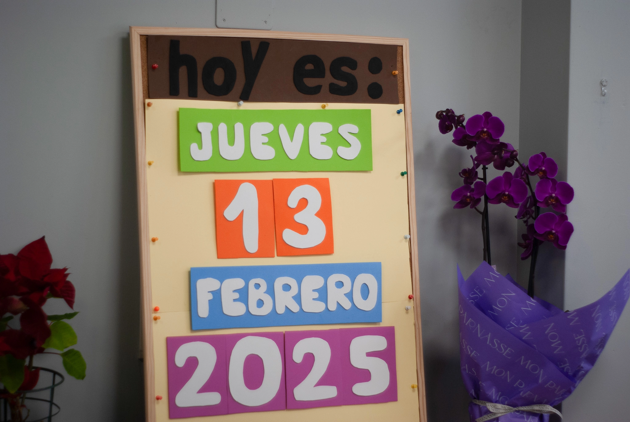 CdDfebrero2025-11